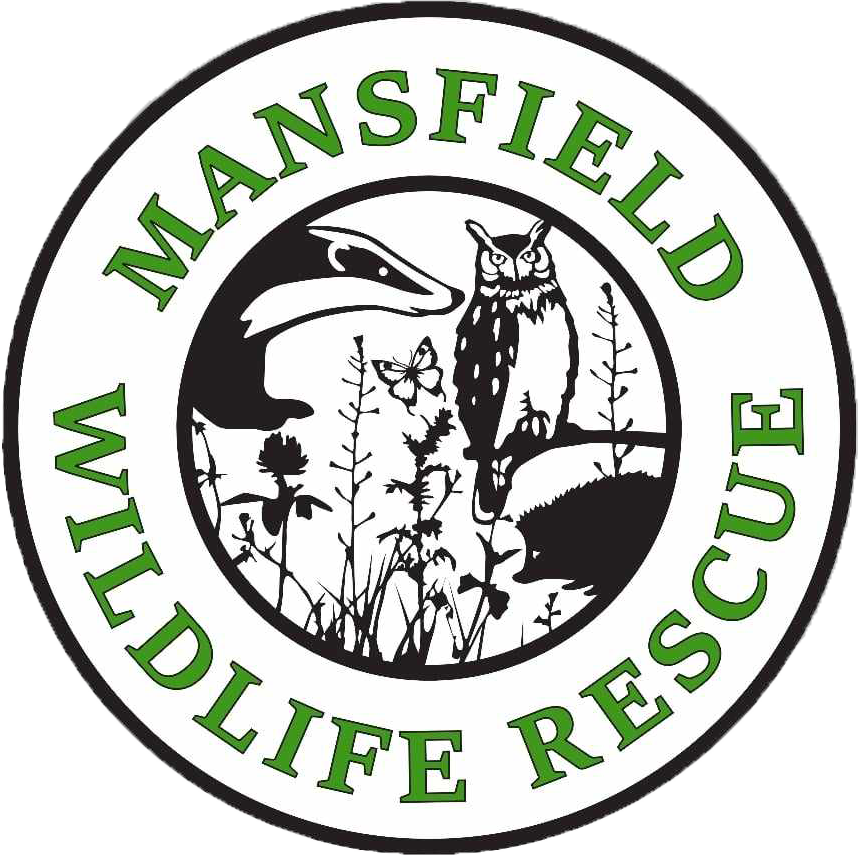 Mansfield Wildlife Rescue logo